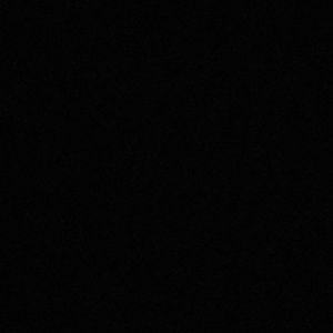 Meet your Posher, Ricky